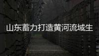 快排公司十年历程，霸屏兔 seo 的崛起与坚守