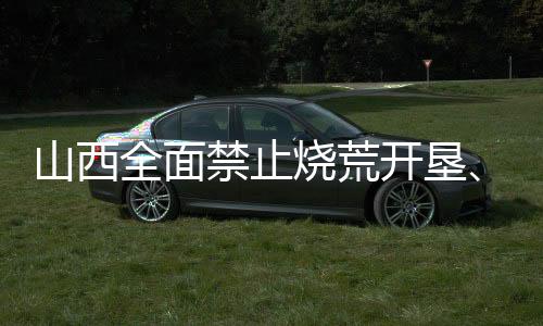 一律依法追究刑事责任
