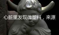 心脏里发现微塑料	，来源耐人寻味