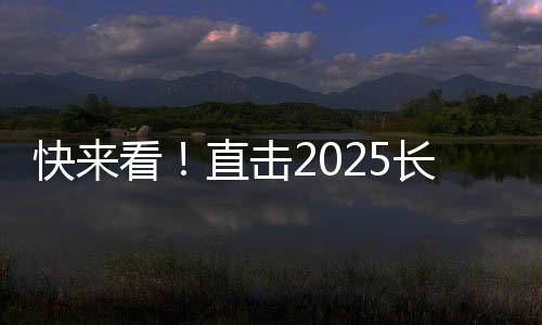 专业观众高举手机全程录像