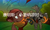 快排公司十年历程，霸屏兔 seo 的崛起与坚守