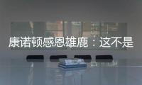 快排公司十年历程，霸屏兔 seo 的崛起与坚守