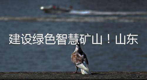 绿色雷沃矿卡等全套矿山设备