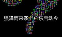 快排公司十年历程，霸屏兔 seo 的崛起与坚守