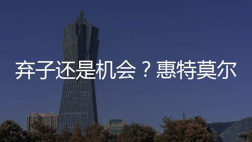 机会交易现在才刚刚开始