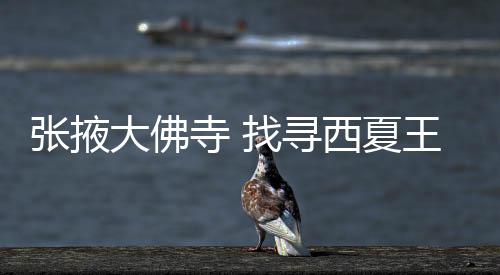 寺找寻西夏王1996年