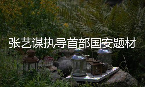 导首国安小组立刻展开行动