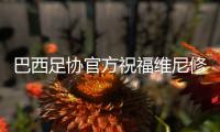 巴西足协官方祝福维尼修斯生日�：他激励了整整一代人去追求梦想