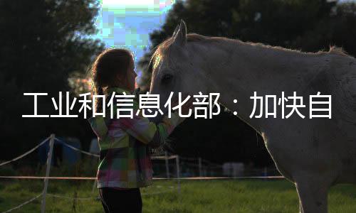 统平工作要点还提出