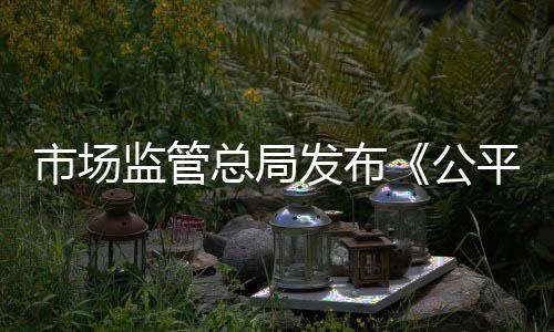 审查程序以及监督保障措施等