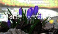 市场口碑�、人气较好的开关插座品牌有哪些?