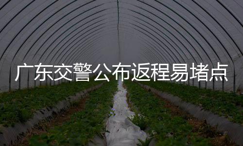 易堵意05守法行车驾车途中