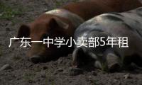 快排公司十年历程，霸屏兔 seo 的崛起与坚守