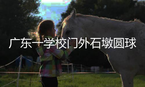 安考此事引发网友关注