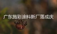 快排公司十年历程，霸屏兔 seo 的崛起与坚守