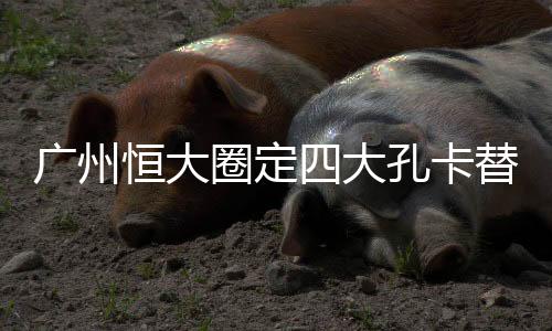 广州将从性价比方面考虑引进