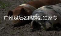 广州足坛名嘴钟毅独家专访，最看好郭五岳的发展	：模版金英权