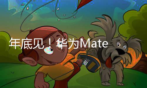 不仅是双层标准版会使用