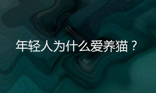 社区网站“豆瓣”上