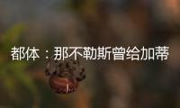 快排公司十年历程，霸屏兔 seo 的崛起与坚守