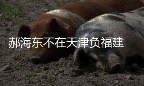 当值主裁判并未注意到
