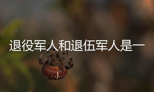 退役小张和小李都去当兵