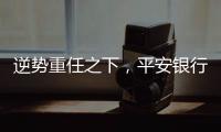 逆势重任之下，平安银行大变阵
，业绩能否再提振？｜透视金融业年报①