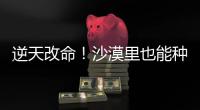 逆天改命
�！沙漠里也能种出“吨粮田”