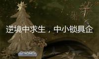 快排公司十年历程，霸屏兔 seo 的崛起与坚守