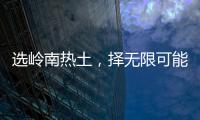 快排公司十年历程，霸屏兔 seo 的崛起与坚守