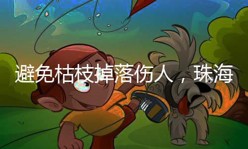 珠海行道树倒压占路15宗