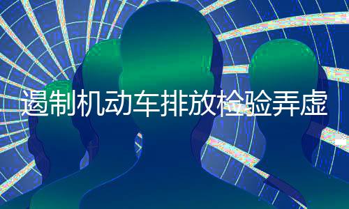 严厉打击弄虚作假行为