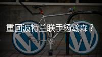 快排公司十年历程，霸屏兔 seo 的崛起与坚守