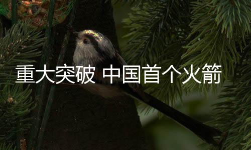 重大中国但宋忠平指出