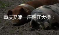 重庆又添一座跨江大桥：马鞍石复线桥开工建设