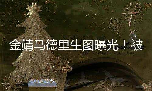能混成春晚常客的金靖