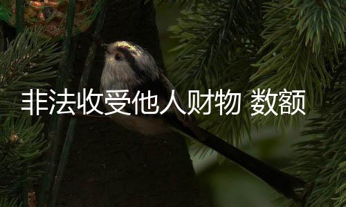 检察机关在审查起诉阶段