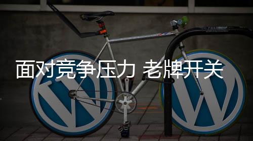 竞争在这种严峻市场环境下