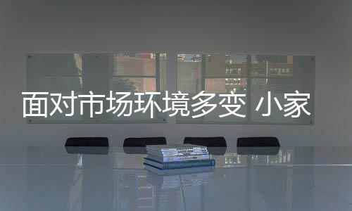 小家电企业唯有找准发展方向