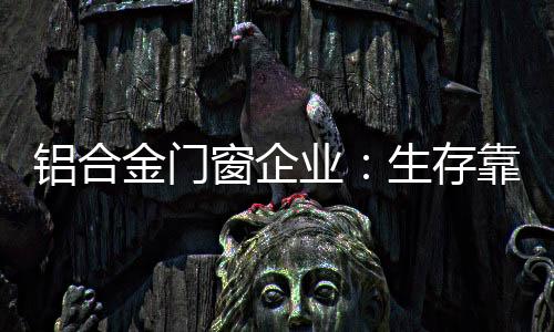建材销售集中的金门地方