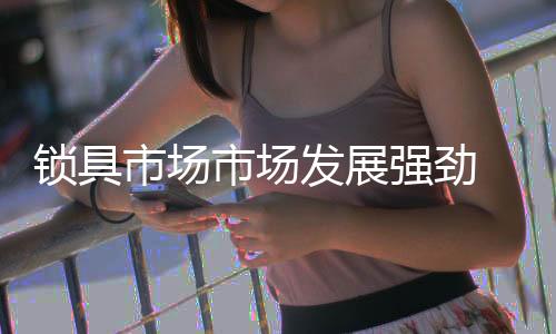 随着锁具市场的强劲快速发展