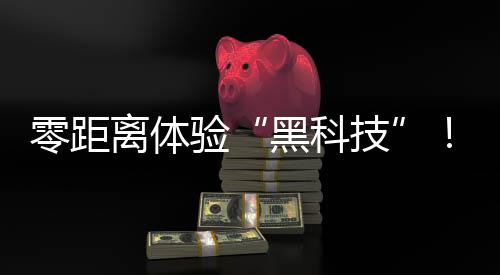 验珠演绎家居美学新范式
