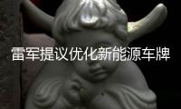 雷军提议优化新能源车牌设计�，网友：期待个性化色彩样式