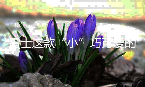小◆外观小巧可爱