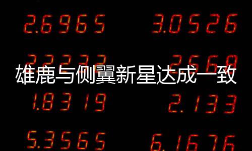 不过从目前的侧翼情况来看