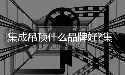 集成集成虽然05年起步