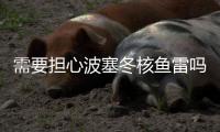 需要担心波塞冬核鱼雷吗？丨军事