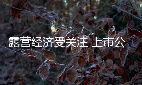 带动市场规模为11554.5亿元