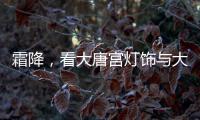 快排公司十年历程，霸屏兔 seo 的崛起与坚守