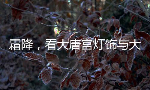 在寒风轻拂的霜降时节里